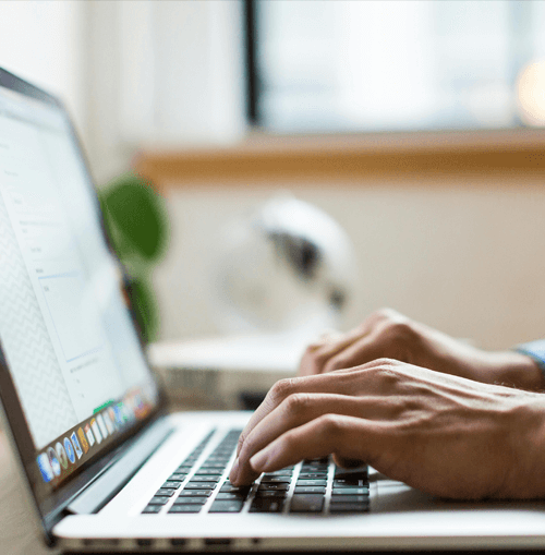 Vespolfin ilustracja zespołu wsparcia