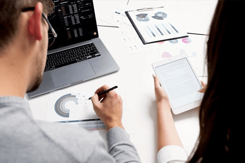 Vespolfin społeczność i wsparcie